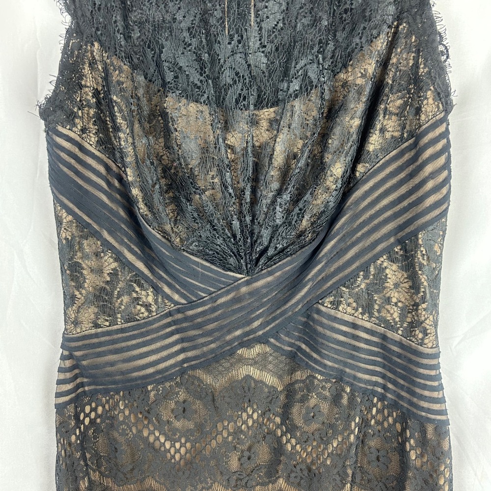 Tadashi Shoji Black Lace Nude Illusion Sheath Dress Size 6 Mesh Banding Cocktail - Picture 4 of 10